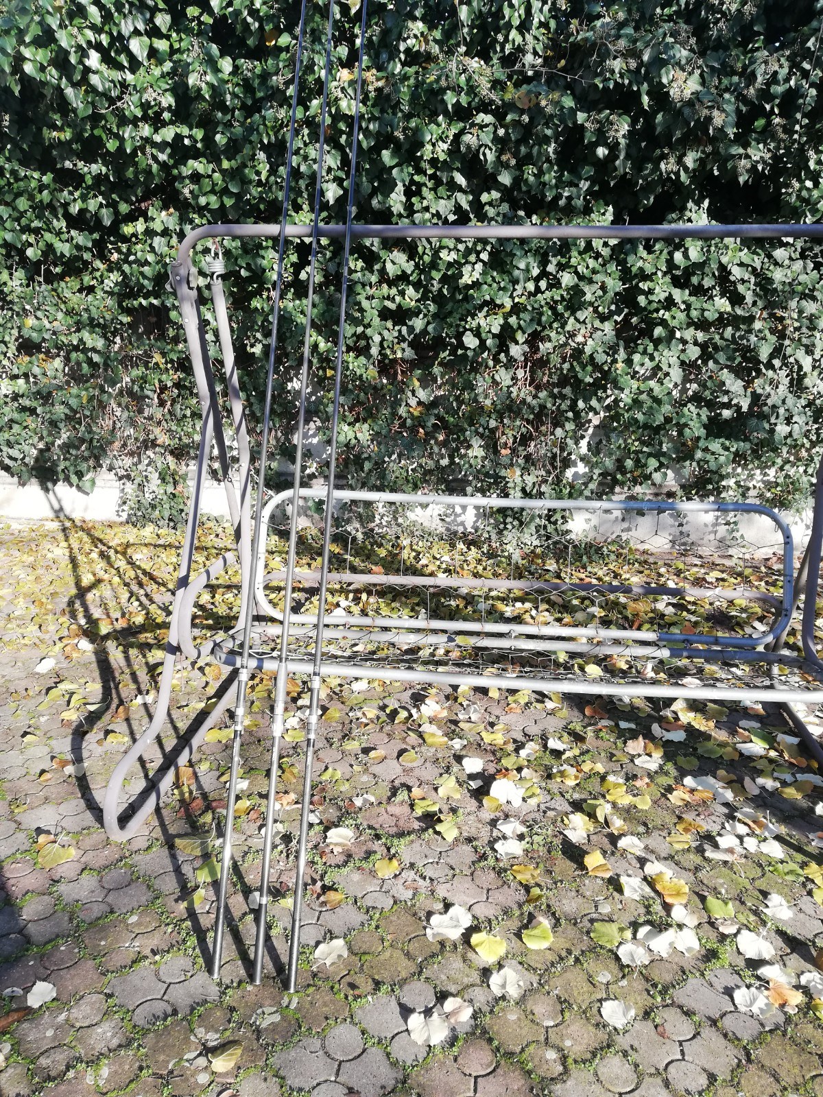 ;ansete century ncs Bruce Ashby 3.9 m - IMG20201201103532.jpg